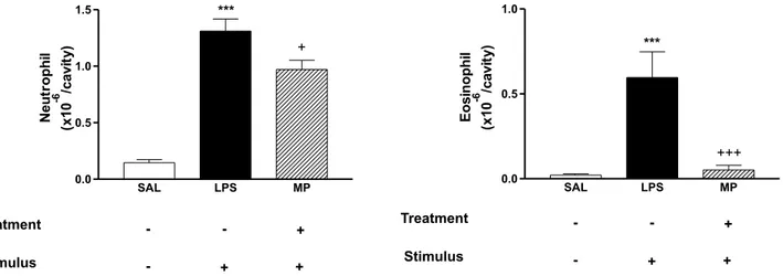 Figure 1. Effect of the crude hydrodistillate of Mariscus pedunculatus (MP) on LPS-induced neutrophil and eosinophil recruitment