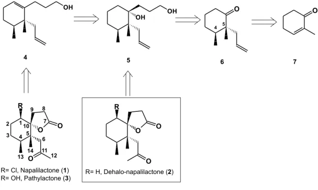 Figure 1. Natural and synthetic nor-sesquiterpenes.