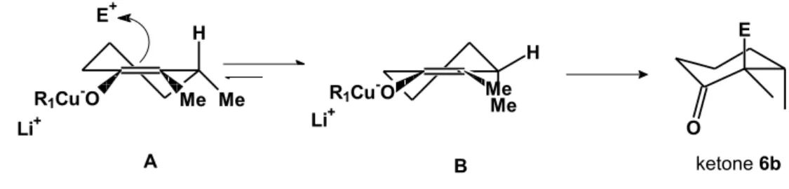 Figure 2. Rationalisation for the diasterereoselectivity obtained in the preparation of 6.