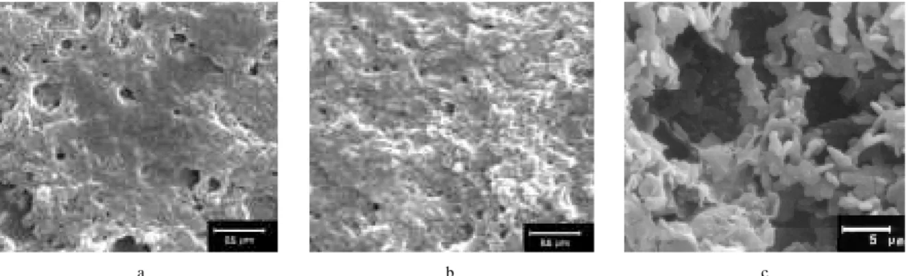 Figure 5. Scanning electron micrographs of PAni, in the emeraldine salt oxidation state, electrosynthesized on platinum from a solution containing: 0.25 mol L -1  aniline, 0.5 mol L -1  LiClO 4  and (a) 2 mol L -1  DCA in PC medium; (b) 1.5 mol L -1  TCA i