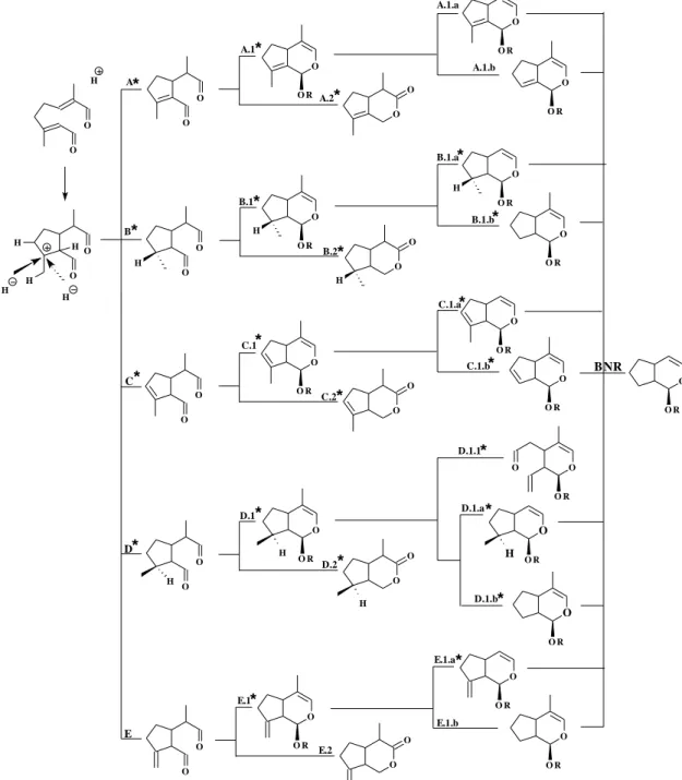 Figure 3. Proposed biogenetic pathways for the iridoid skeleton, the formations of and codes for structural types of iridoids found in Angiospermae * (R=