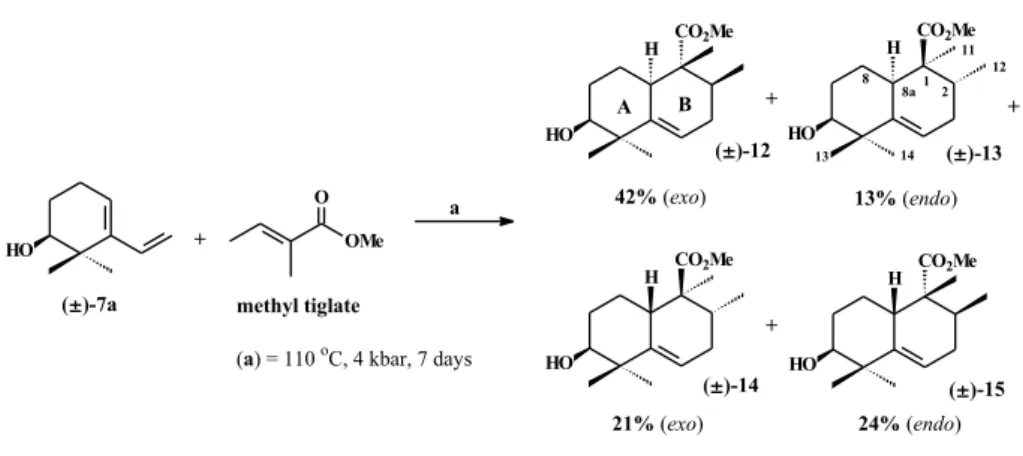 Figure 1. Major nOe enhancements for octalins (±)-12, (±)-13, (±)-14 and (±)-15.
