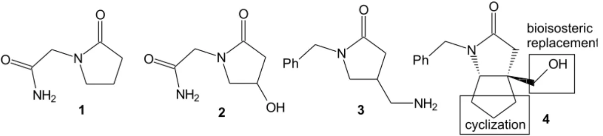 Figure 1. Structural design of the new bicyclic nebracetam analogue 4.