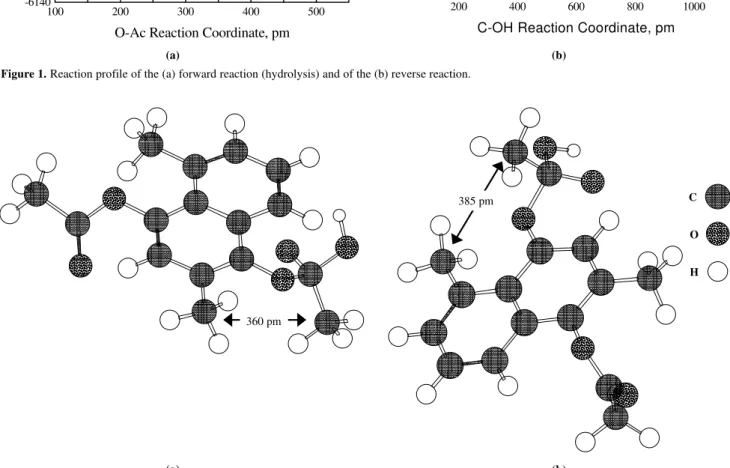 Figure 2. Structure of the hydrated tetrahedral intermediates at C-1 (a) and in C-4 (b)
