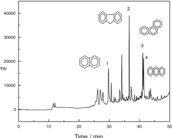 Figure 4. SPE-SFE-CGC chromatogram of a water sample spiked with a PAH mixture. Conditions: extraction temperature was 100°C during static and dynamic period (25 min and 300 bar)