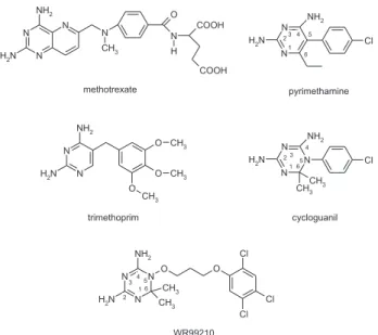 Figure 9. Structures of the main Type-1 antifolates.