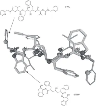 Figure 3. Alignment of the bound conformations of 1HVL and 4PHV (as listed at Brookhaven Protein Databank).