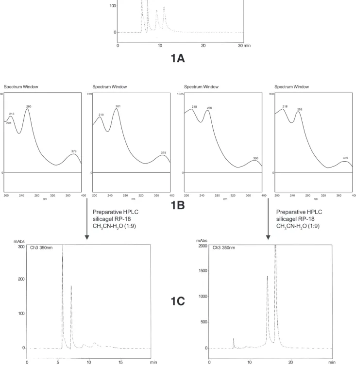 Figure 1. Characteristic HPLC chromatograms and UV spectra of the anomers punicalin and punicalagin (silicagel RP-18, KH 2 PO 4  0.01 mol L -1   + H 3 PO 4  0.01 mol L -1  + CH 3 CN - 4:4:2)