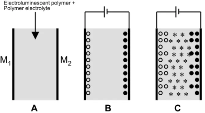 Figure 8. Schematic representation of the electrochemical processes in a LEC. Electrodes are named M 1  and M 2 , (c) are the oxidized species, ( b ) are the reduced species and (*) are the neutral  electron-hole pairs