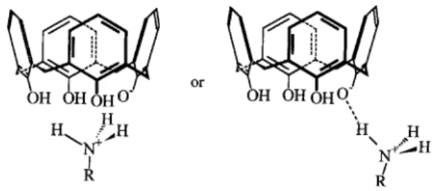 Figure 5 . Proposed structure for the calix[4]arene amine complex 1:1