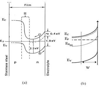 Figure 11. (a) Schematic representation of the electronic structure (and distribution of charges) of a thermally grown film on 304 stainless steel; (b) contribution of the second donor level at the film/