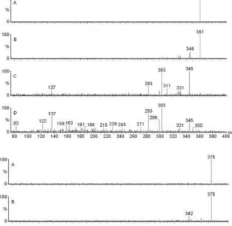 Figure 1. CID mass spectra of flavonols 1 (upper) and 2 (lower) isolated from V. candida