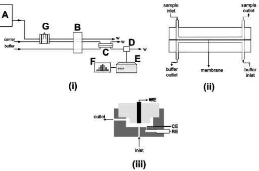 Figure 1. Schematic diagram of the analytical system. Flow injection assembly (i): sample (A); pump (B); permeation cell (C); electrochemical detector (D); potentiostat (E); recorder (F); injector (G) and waste (w)