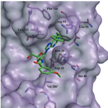 Figure 5. Experimental binding mode of N6-benzyl-NAD to L.mexicana GAPDH.