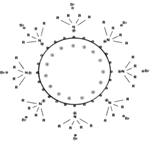 Figure 1. Schematic drawing of the stabilized colloid. 7
