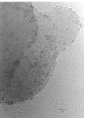 Figure 3. Nanoparticles of Pt/Ru/Mo (1:1:1) dispersed in carbon black.