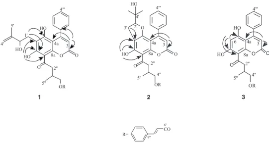 Figure 1. Structure of compounds 1,  2, and 3 and some important long range correlations observed in the  1 H- 13 C COSY  spectra (COLOC).