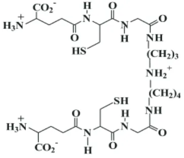 Figure 2. Representative cyclic voltammogram of 2,3-dimethyl- 2,3-dimethyl-1,4-naphthoquinone, c = 2 mmol L -1 , Hg electrode, sweep rate = 1.0 V s -1 , DMF + TBAP 0.1 mol L -1 