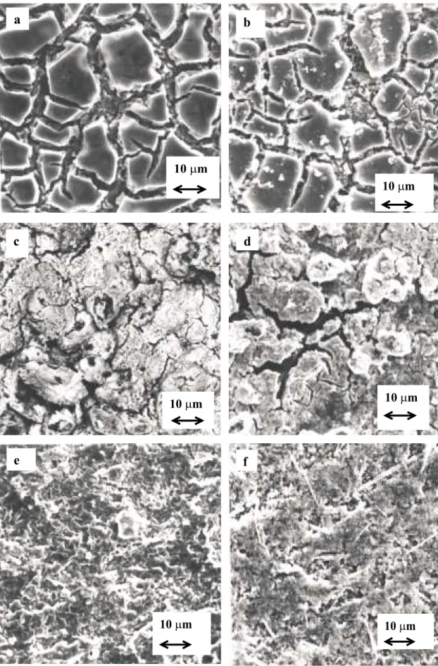 Figure 2. SEM micrographs of the Ti/Ir 0.3 Ti (0.7-x) Pb x O 2 -coated electrodes: (a) freshly-coated Ti/Ir 0.3 Ti 0.7 O 2  electrode, (b) Ti/Ir 0.3 Ti 0.7 O 2 -coated electrode after Tafel experiment, (c) freshly-coated Ti/Ir 0.3 Ti 0.4 Pb 0.3 O 2  electr