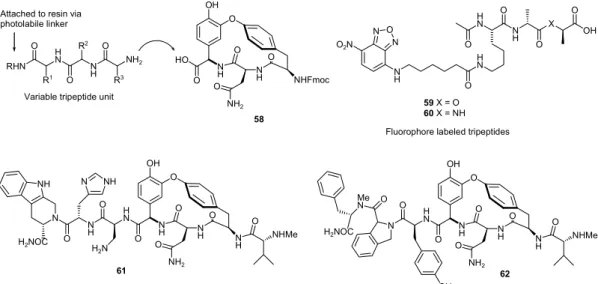 Figure 22. Teicoplanin aglycone as scaffold for the generation of combinatorial libraries.