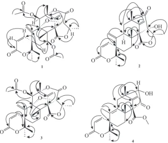 Figure 1. HMBC correlations detected for 1, 2, 3 and 4.
