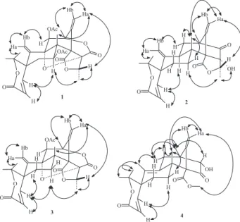 Figure 2. Spatial correlations suggested for 1 and 2 based on NOE difference spectra, and for 3 and 4 based on NOESY and gNOESY spectra, respectively.