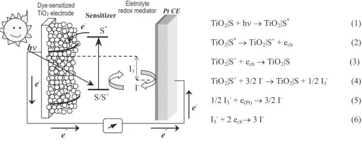 Figure 2. Representation of a dye-sensitized TiO 2  solar cell and the processes involved in energy conversion (S represents the dye-sensitizer and I - /I 3 -  is the charge mediator).