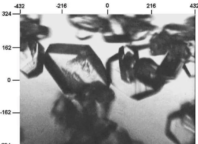 Figure  2. FTIR (transmittance %) spectrum (KBr) of [Ru 3 ( µ 3 - -Se) 2 (CO) 7 (PPh 3 ) 2 ] dispersed in silica; the CO stretching pattern (in the dotted rectangle) is the same observed for the pure cluster in the solid state (KBr).