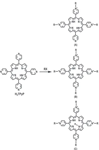 Figure 3. Pyridyl porphyrin alkylation products: (A) semi-alky- semi-alky-lated porphyrin; (B) tetraalkysemi-alky-lated porphyrin; and (C) N-pyrrole alkylated porphyrin.
