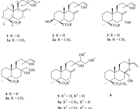 Table 1.  13 C NMR data of compounds 1a  -  5b *