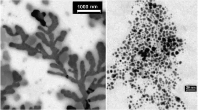 Figure 1. TEM micrographs of the ferrofluid emulsion.