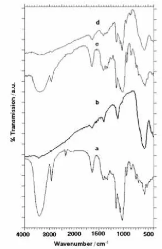 Table 1. Infrared absorption frequencies (cm -1 ) of  β -cyclodextrin and of ferrofluid