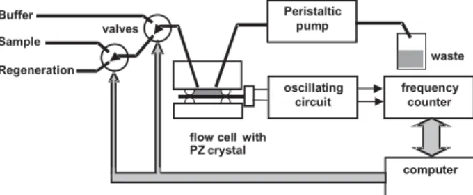 Figure 2. Example of a semiautomatic setup for measurements with piezoelectric immunosensors.