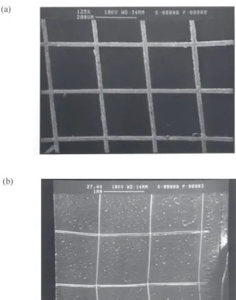 Figure 1. SEM images of the metallic gold wire grids employed in this work. (a) micro-mesh B, (b) micro-mesh C.
