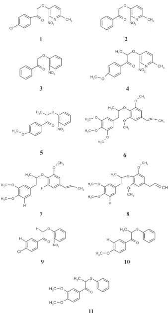 Figure 1. General structure and numbering used in the neolignan compounds studied.