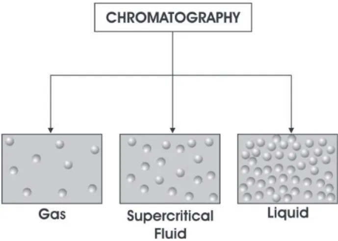 Figure 4. Classification of the chromatographic techniques accord- accord-ing to the physical state of the mobile phase.
