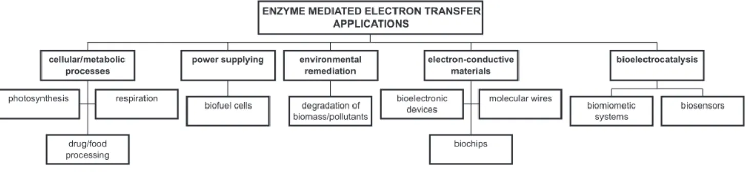 Figure 1. Organizational chart of enzyme mediated electron transfer applications.