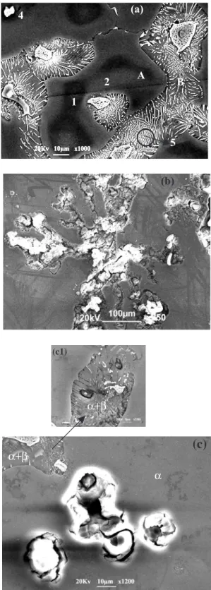 Figure 5. (a) SEM- view of the microstructure of AZ91HP alloy after micro-etching (etchant: 95mL alcohol and 5mL ethanoic acid solution, etching time: 50s 25 ) ((A) α- phase, (B, 5) bands of lamellar eutectic phase, (C, 3) divorced eutectic phase: massive 