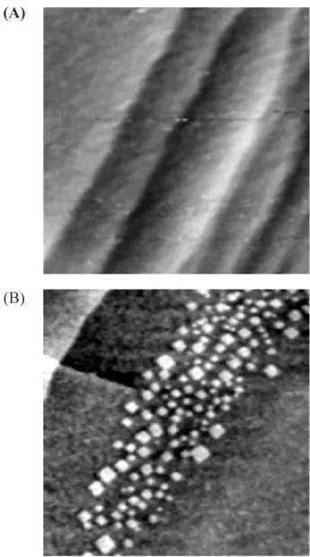 Figure 3 shows the STM image obtained for a clean Pt(100) electrode following the procedure described at the experimental section
