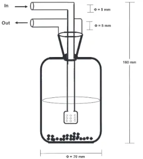 Figure 1. Reactor vessel for arsine generation. In – air pumped from diaphragm pump at 250 mL min -1 