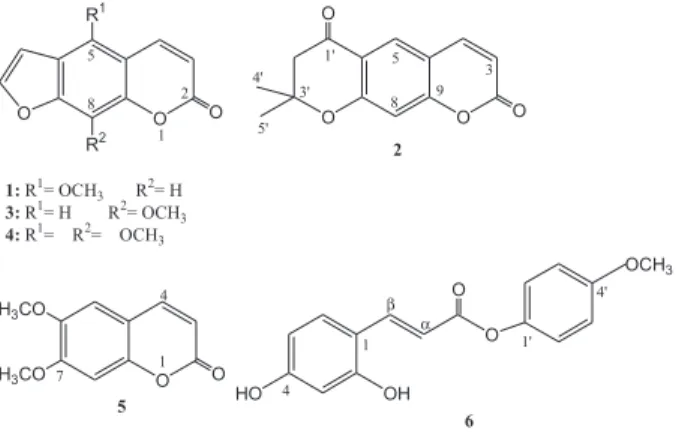 Table 1.  1 H- a  and  13 C-NMR data for compounds 6, 6a, 7 and 7a