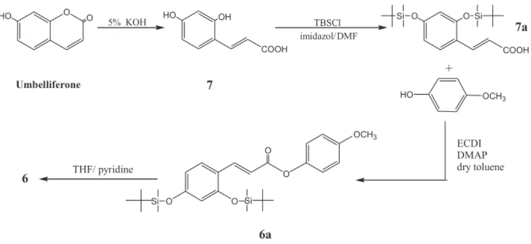 Figure 1. Scheme for synthesis of 6  from umbelliferone.