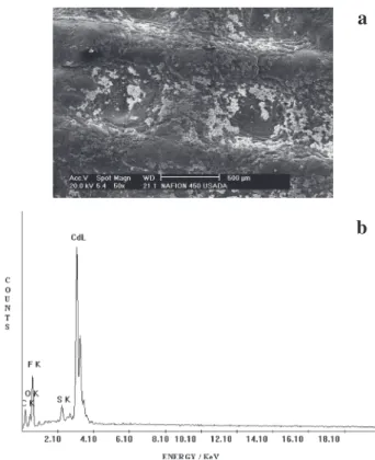 Figure 4. Cd(CN) 4 2-  and CN -  percent extraction as a function of the electrodialysis time with a 20 mA cm -2  current density