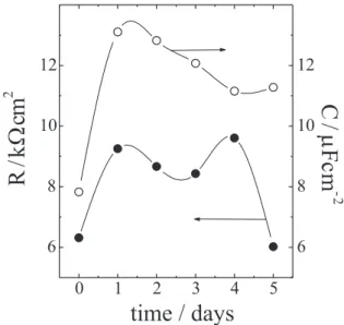 Figure 5. Changes in the potential of (a) PAni on tungsten, and (b) Cu, during contact current measurement between copper and PAni in 0.1 mol L -1  NaCl.