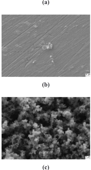 Figure 8. SEM-micrographs of AA2024-T3 alloy (a) uncovered, after 5 days immersion in 0.1 mol L -1  HCl, (b) uncovered, after12 h immersion in 0.1 mol L -1  NaCl (pH 5.73) and (c) PAni coated alloy after 12 h immersion in 0.l mol L -1  NaCl.