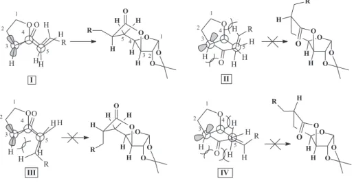 Figure 4. Conformers of the radical esters in the furanose ring forms and the corresponding δ-lactones obtained from the cyclization of the least crowded conformer  I .