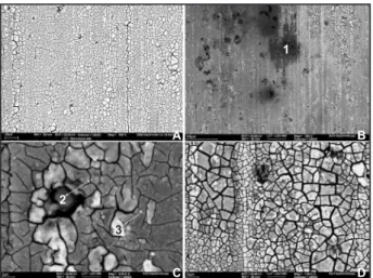 Figure 1 shows some SEM micrographs obtained for a sample submitted to pre-treatment T2-S and immersed in the conversion bath during 2 h