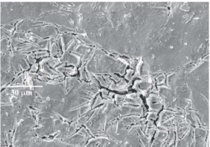 Figure 1 shows the representative SEM micrograph of a prepared thin film with a nominal composition equal to Ti/Ir 0.7 Sn 0.3 O 2 