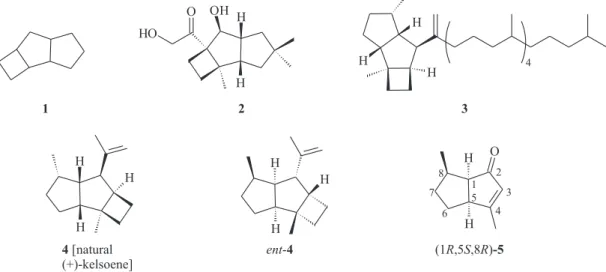 Figure 1. Natural and nonnatural products based on tricyclo[6.2.0.0 2,6 ]decane framework 1  and precursor 5.