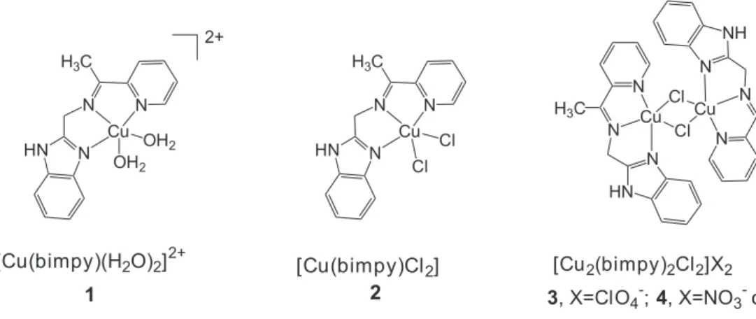 Figure 1. Schematic structures of the diimine-copper(II) complexes studied.